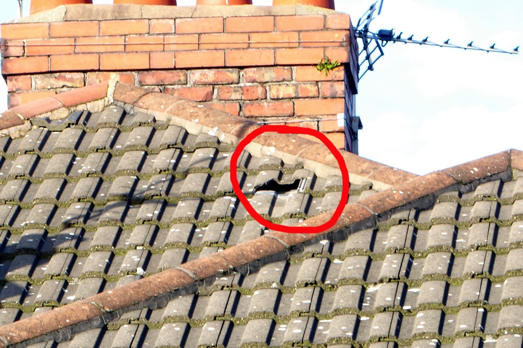 Assess the Damage for Your Garage Repair Roof