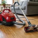 Budget canister vacuum cleaning pet hair off hardwood floor.
